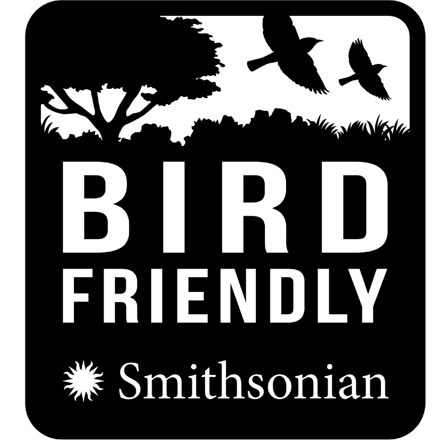 3 Reasons Why All of Our Coffee Isn't Certified as Bird Friendly