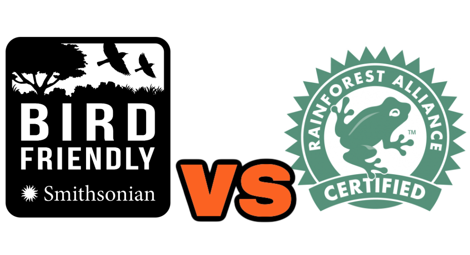 Bird-Friendly vs. Rainforest Alliance Coffee: What’s the Difference?